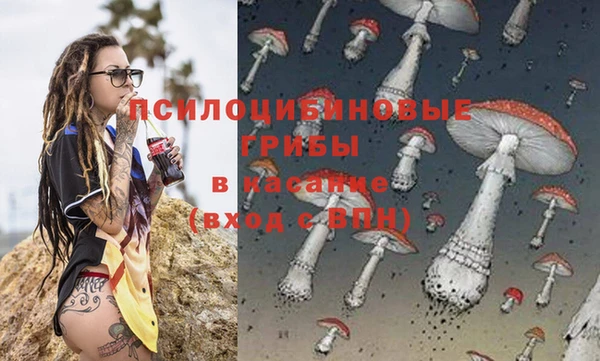 гашик Зерноград