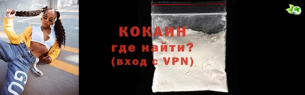 гашик Зерноград