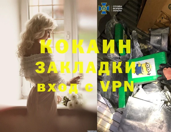 гашик Зерноград