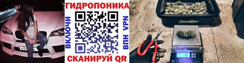 Конопля гибрид  Карталы 